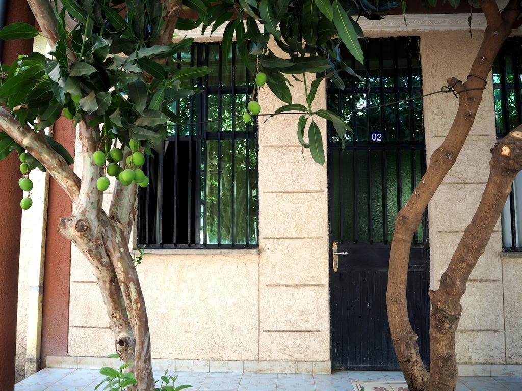 Manuhie Backpackers Lodge Μπαχρ-Νταρ Δωμάτιο φωτογραφία