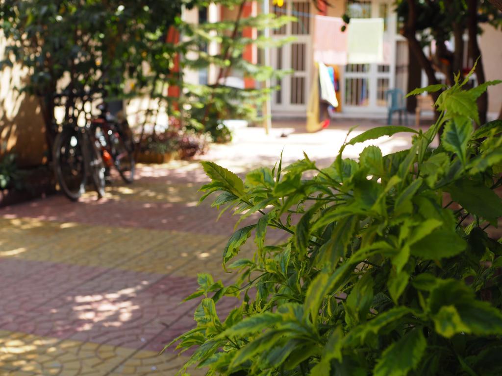 Manuhie Backpackers Lodge Μπαχρ-Νταρ Δωμάτιο φωτογραφία