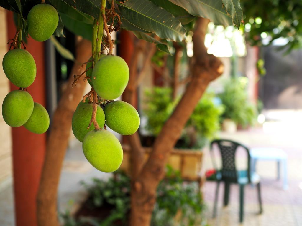 Manuhie Backpackers Lodge Μπαχρ-Νταρ Δωμάτιο φωτογραφία